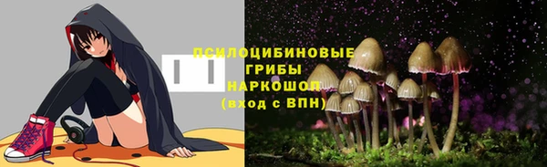 apvp Беломорск