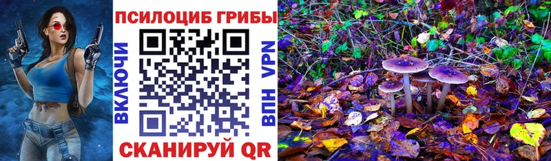 наркота Ефремов Псилоцибиновые грибы ЛСД